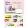 믿음 171 생명의 하나님(사이즈=260⨯200⨯14매(탁상-먹인쇄)